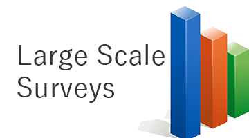 Large Scale Surveys